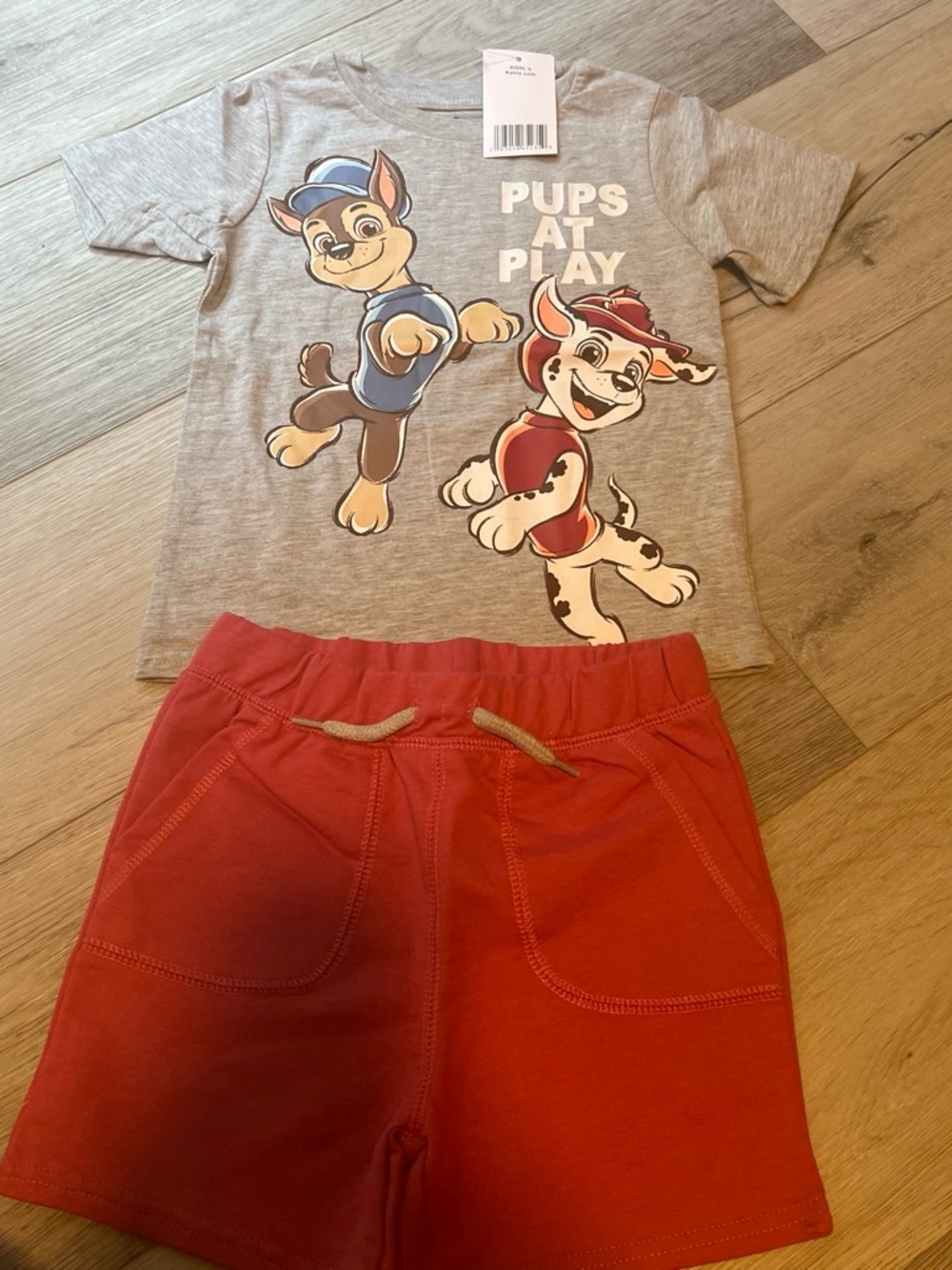 Paw Patrol Light Gray Kids Shirt with Black Print